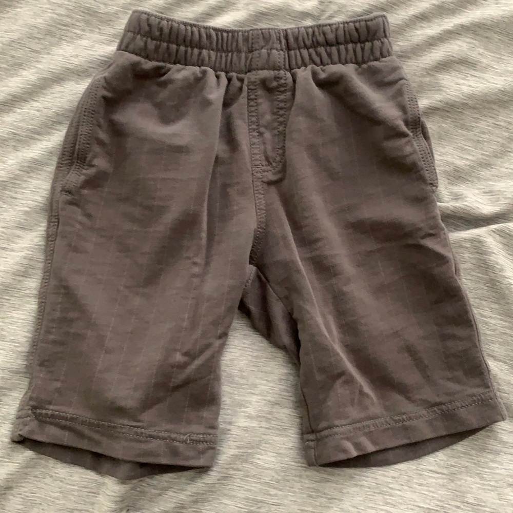 Tea collection shorts.